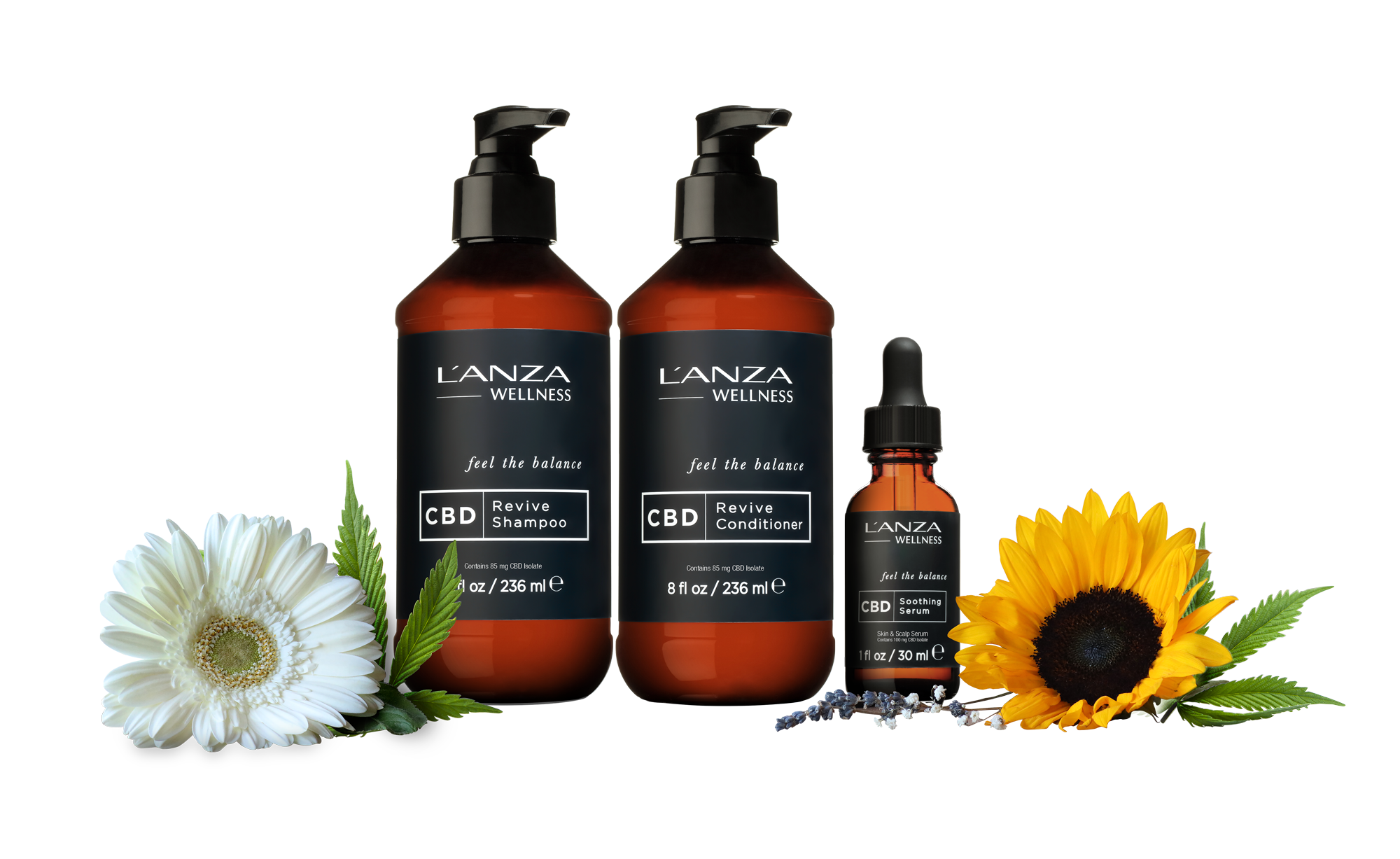 CBD Wellness - LANZA